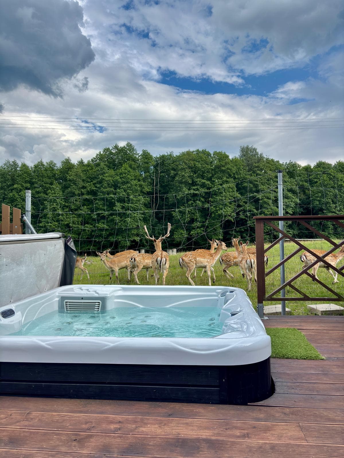 Nr.1 - Šalia Elnių Aptvaro